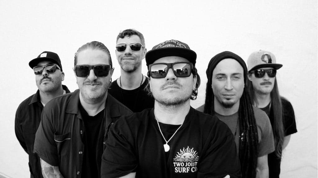 The Elovaters live