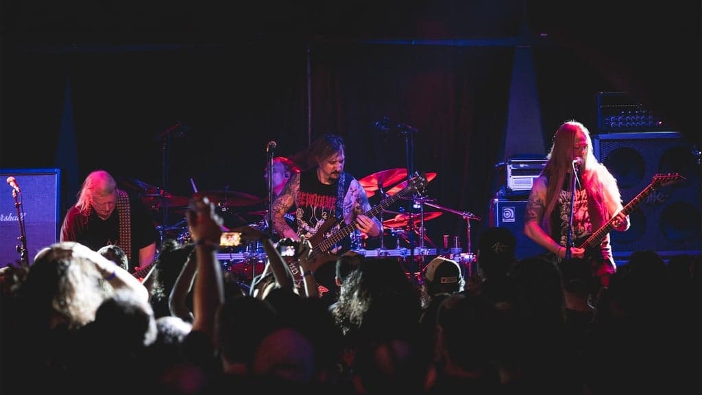 Nile live