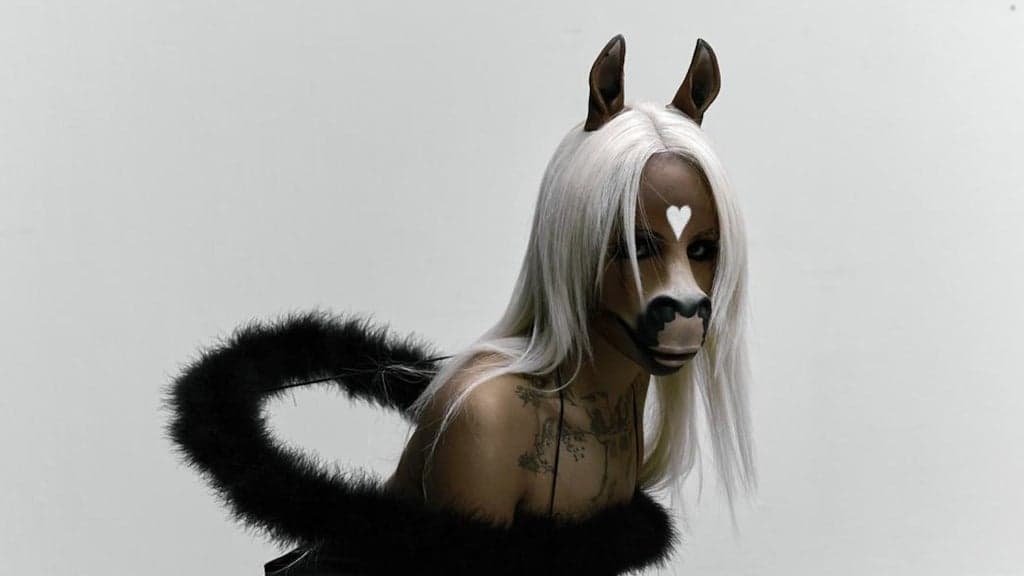 horsegiirL live